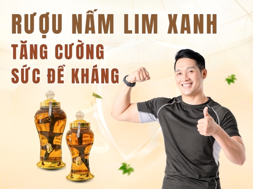 Tác dụng của rượu nấm Lim Xanh: Đọc ngay trước khi mua